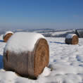 colline pisane innevate peccioli